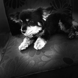 Meet your Posher, Mar